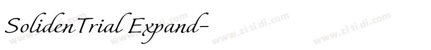 SolidenTrial Expand字体转换